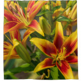 カナダフローラ美しい、オレンジデイリリー シャワーカーテン (正面)