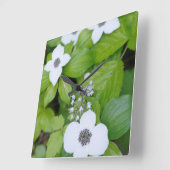 カナダブリティッシュコロンビア州ドワーフドッグウッド スクエア壁時計 (傾斜)