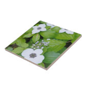 カナダブリティッシュコロンビア州ドワーフドッグウッド タイル (側面)