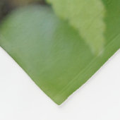 カナダブリティッシュコロンビア州ドワーフドッグウッド フリースブランケット (角)