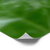 カナダポスターカナダメープルリーフ記念プリント ポスター (角)