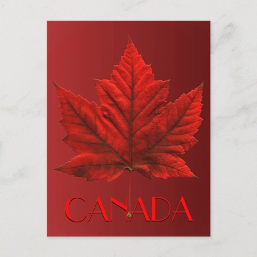 カナダポストカードカスタムカナダお土産はがき ポストカード (正面)