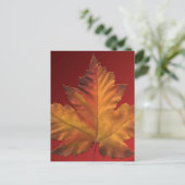 カナダポストカードカスタムカナダお土産はがき ポストカード (スタンド正面)