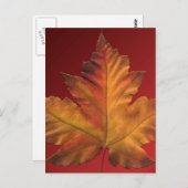 カナダポストカードカスタムカナダお土産はがき ポストカード (正面/裏面)