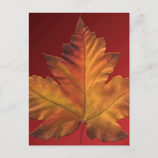 カナダポストカードカスタムカナダお土産はがき ポストカード (正面)