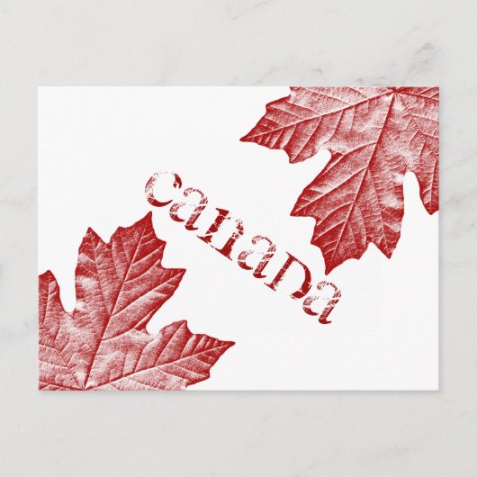 カナダポストカードカスタムカナダお土産はがき ポストカード (正面)