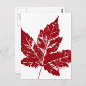 カナダポストカードカッコいいカナダおみやげポストカード ポストカード (正面/裏面)