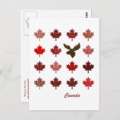 カナダメープルリーフとムース葉書 ポストカード (正面/裏面)