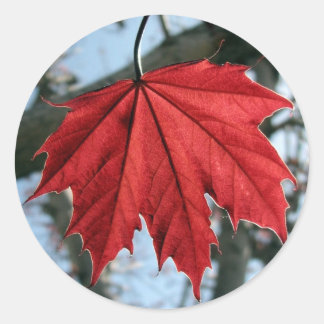 カナダメープルリーフラウンドスティッカー ラウンドシール
