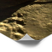 カナダメープルリーフ ポスター (角)