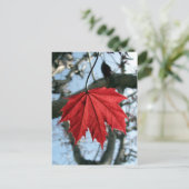 カナダメープルリーフ ポストカード (スタンド正面)