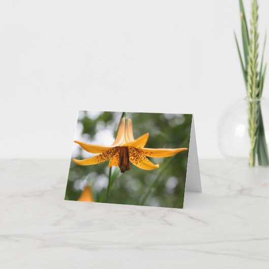 カナダユリの花の写真 ノートカード (正面)