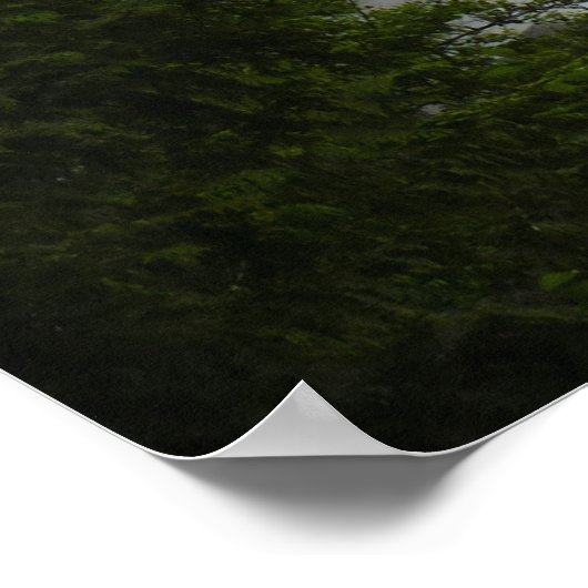 カナダランドスケープウエストコーストフォレストアートプリント ポスター (角)