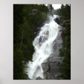 カナダランドスケープウエストコーストフォレストアートプリント ポスター (正面)