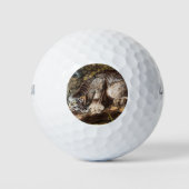 カナダリンクス ゴルフボール (正面)