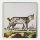 カナダリンクス スクエアシール (正面)