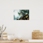 カナダリンクス ポスター (キッチン)