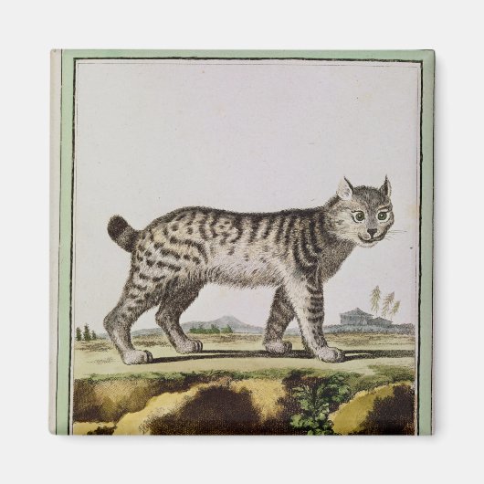 カナダリンクス マグネット (正面)