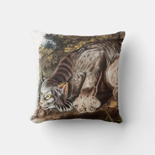 カナダリンクス(Lynx Canadensis)イラストレーション クッション (正面)