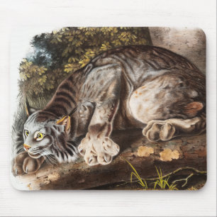 カナダリンクス(Lynx Canadensis)イラストレーション マウスパッド