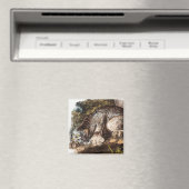 カナダリンクス(Lynx Canadensis)イラストレーション マグネット (インサイチュ (食洗機))