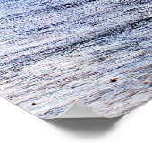 カナダ人のヤマネコ遊ネコ2匹が丸太に ポスター (角)