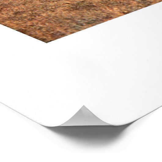 カナダ人王室の騎乗の警官 ポスター (角)