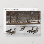 カナダ保右 ポストカード (正面/裏面)