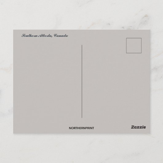 カナダ南部のホームステッド ポストカード (裏面)