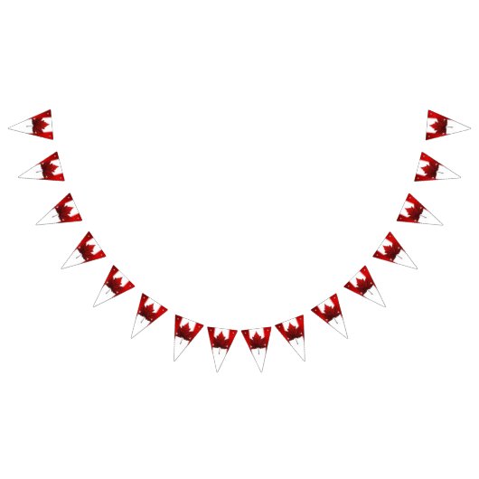 カナダ国旗のバンティング旗カナダの日の装飾 バンティングフラッグ (全)