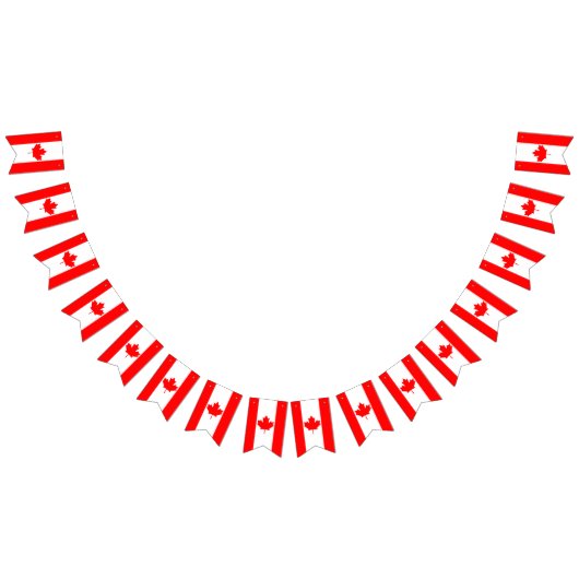 カナダ国旗、カナダ国旗のパーティーバナー バンティングフラッグ (全)