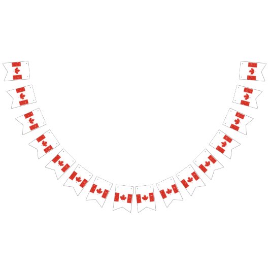 カナダ国旗 バンティングフラッグ (全)