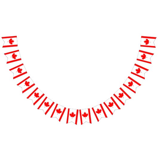 カナダ国旗 バンティングフラッグ (全)