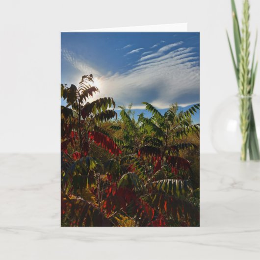 カナダ秋のカラーズカー空白のド カード (正面)