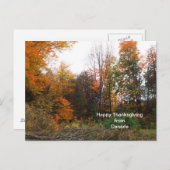 カナダ秋の国旗から感謝祭の挨拶 シーズンポストカード (正面/裏面)