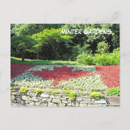 カナダ花の国旗 ポストカード (正面)