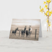 カナダ草原の四分の馬 カード (黄色い花)