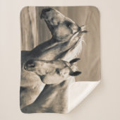 カナダ草原の四分の馬 シェルパブランケット (正面)