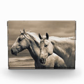 カナダ草原の四分の馬 フォトブロック (正面)