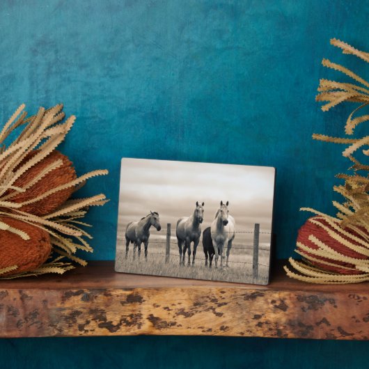 カナダ草原の四分の馬 フォトプラーク (側面)