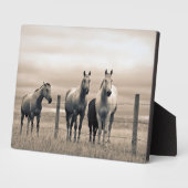 カナダ草原の四分の馬 フォトプラーク (側面)