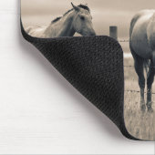 カナダ草原の四分の馬 マウスパッド (コーナー)