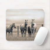 カナダ草原の四分の馬 マウスパッド (マウス)