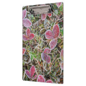 カナダ葉州霜被り クリップボード (左)