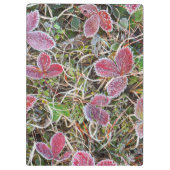 カナダ葉州霜被り クリップボード (裏面)