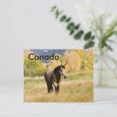 カナダ郵便 ポストカード (スタンド正面)