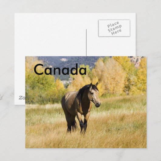 カナダ郵便 ポストカード (正面/裏面)
