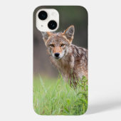 カナダ野生生物写真家、Brown Coyote Case-Mate iPhoneケース (裏面)
