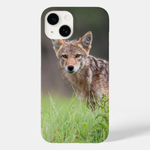 カナダ野生生物写真家、Brown Coyote Case-Mate iPhone 14ケース