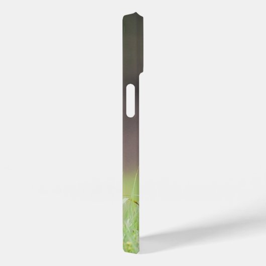 カナダ野生生物写真家、Brown Coyote Case-Mate iPhoneケース (裏面 / 右)